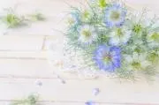 マル＊購入者様プロフ必読の画像