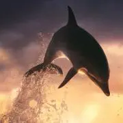 ☆スカイ☆彡  ※プロフ必読