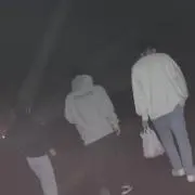 しょうだいの画像