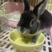 まみんの画像