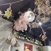 ぴとの画像