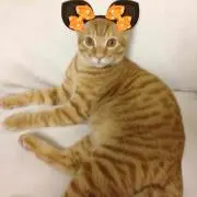かし