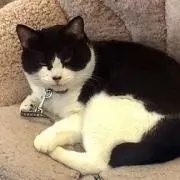 そらまめ☆