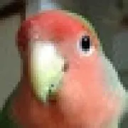 トリップ