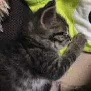 どちらかとゆーと買い専門です