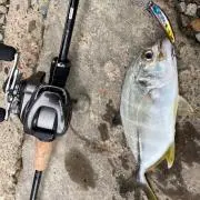 醤油