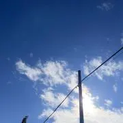 Shiuruの画像