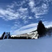 kojikoji