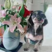 YUの画像