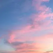tの画像