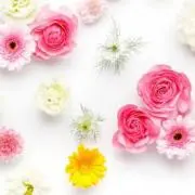 ☆　☆ゆんころ☆様│ イオーヌクリーム２ &ローション２　エマルジョン２ ワミレス｜イオンヌローション×2 イオーヌクリーム×2 - メルカリ