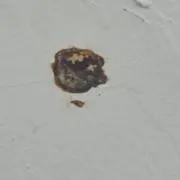 爆発