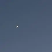 雫（プロフィール必読）の画像
