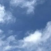 もちもちの画像