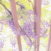 Kの画像