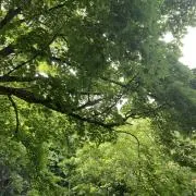 ゆう/値下げ対応可の画像