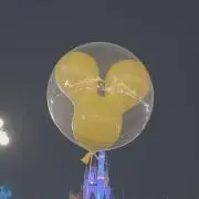 みぃの画像