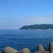 topiの画像