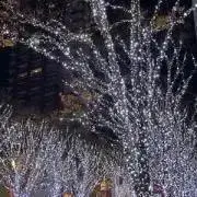はる コメ前プロフ必読の画像