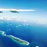 あきゆみの画像