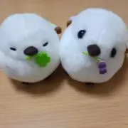 まるの画像