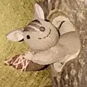 ファニーの画像