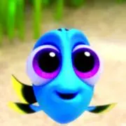 poo