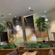 さくの画像