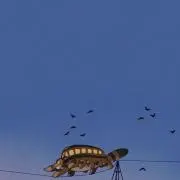 こはくの画像