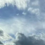 yの画像