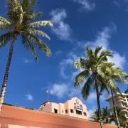 よーの画像