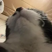 チャックの画像