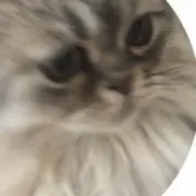 ベティ