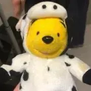 うた