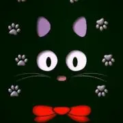 よっしー