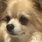 やすちん