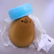 ひよこのこ