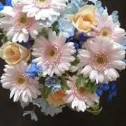konの画像