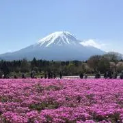 makikoの画像
