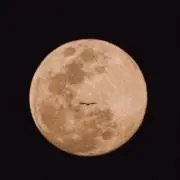 SEJIの画像