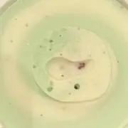 乃の画像