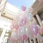 ぷっくの画像