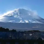 レオン