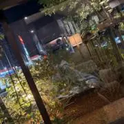 ¥Bの画像