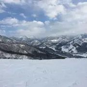fumi