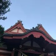 ヘイボーイ