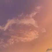 JPplantsの画像