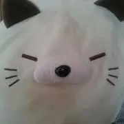 うみ