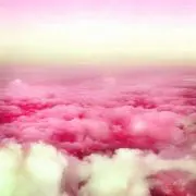 shokoの画像