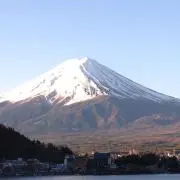 ゆきんこの画像